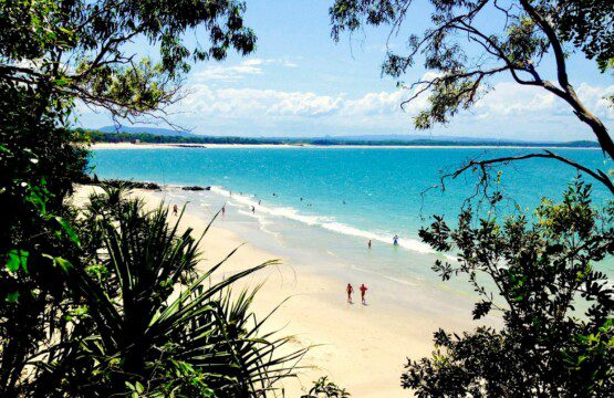people on beach during daytime